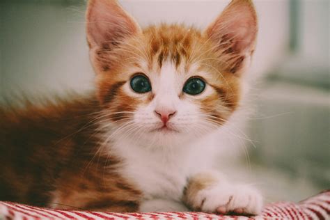 Image result for Como Minifier CSS Con Visual Studio Code