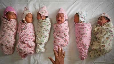 Global population doubles since 1974, hits 8 billion today - Times of India