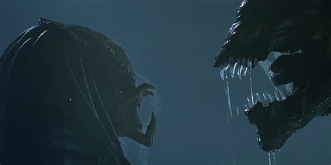 Image result for Alien Queen vs Predator King
