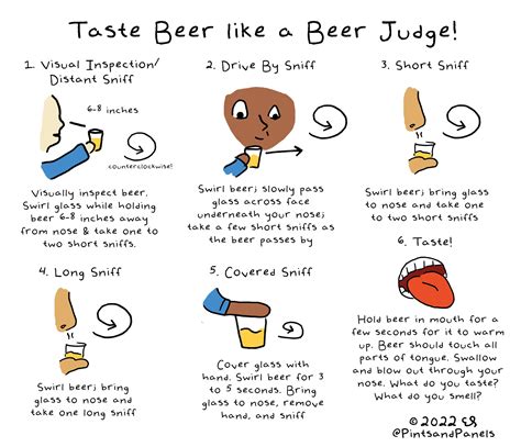 Beer 101- How to Taste Beer like a Beer Judge — Pints and Panels