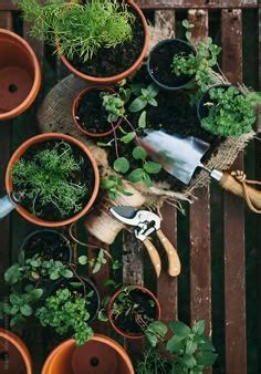 Image result for Well Documented Code Example with Comments