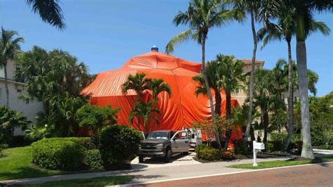 Termite and Pest Control Gallery | Cape Coral, FL | Dynamic Pest Control