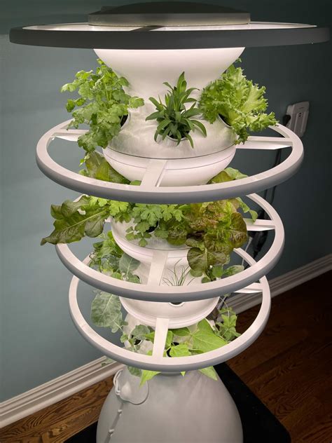 Lettuce Grow Farmstand Review - Is It Worth It? Pros, Cons ...