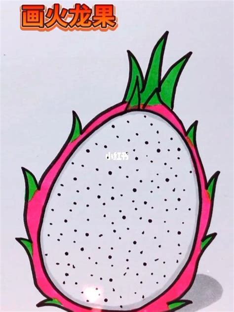 火龙果的剖面简笔画-天马图吧