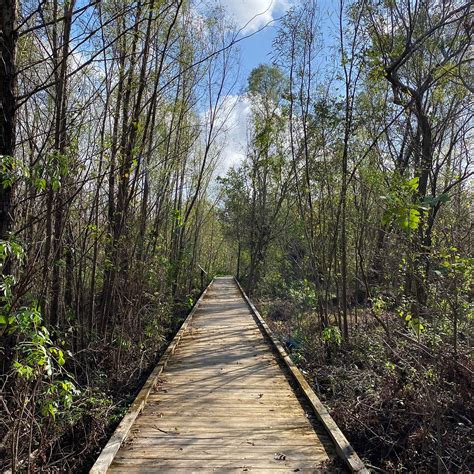 Audubon Louisiana Nature Center (New Orleans) - Alles wat u MOET weten ...