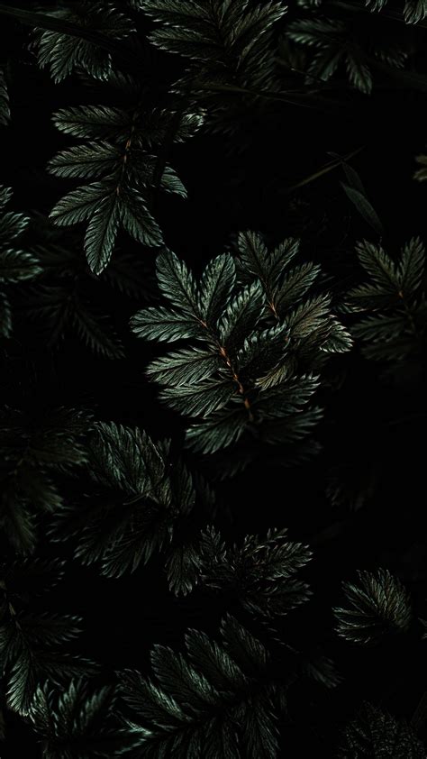 Dark Moody Wallpapers - Wallpaper Cave