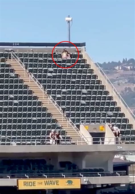Cops release photo of couple in alleged sex act at A's game