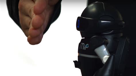 Mar MIP Tutorial 的图像结果