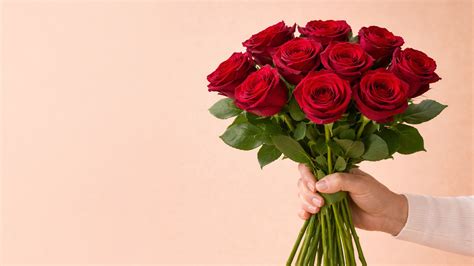 Yuppiechef | Home & Decor | Woodlands Boulevard