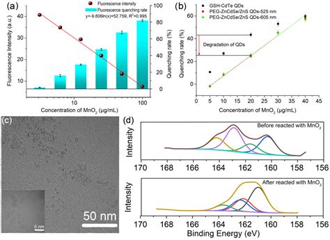 Glutathione-Capped CdTe Quantum Dots Based Sensors for Detection of ...