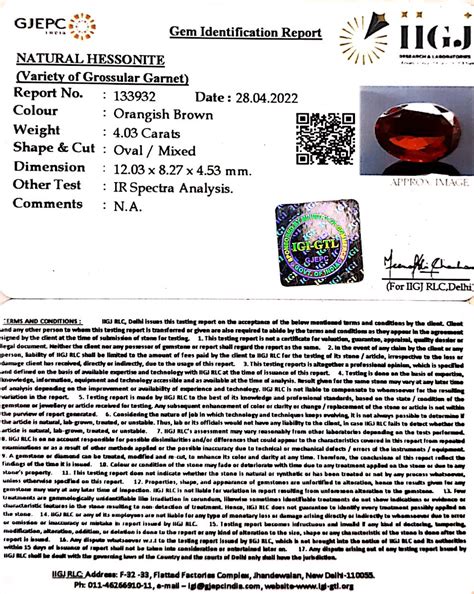 4.03/CT Natural Govt. Lab Certified Ceylonese Gomed-1221 | Gem Selections