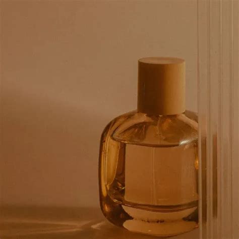 Shop your favorite Arabian & French clone attars and perfumes. Al ...