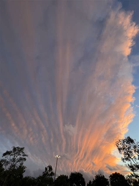 The sunset sky in Irvine looks unreal. : r/orangecounty