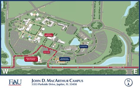 Florida Atlantic Stiles-Nicholson Brain Institute | Florida Atlantic ...