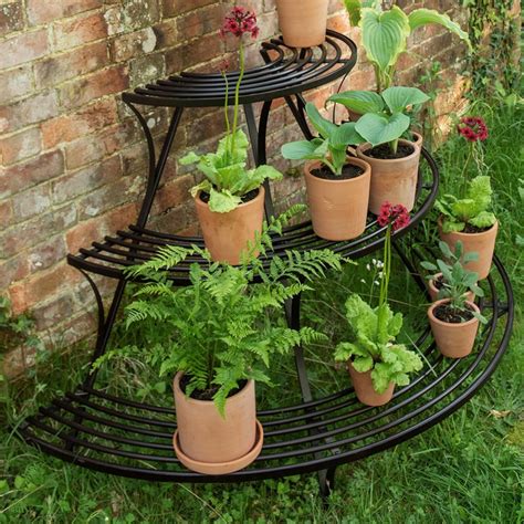 Rezultat imagine pentru Crocus Planting Guide