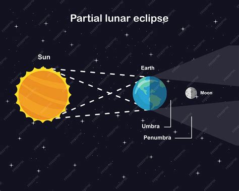 Premium Vector | Diagram showing partial lunar eclipse sun earth and moon vector infographic