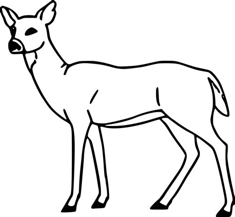 Very Easy Deer Coloring Pages - Coloring Cool