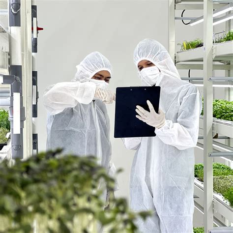 Vertical Farming Process 的图像结果