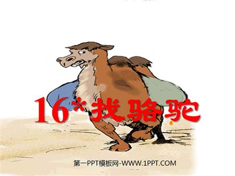 小骆驼高清图片下载_红动中国