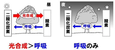 Learn OS Module Python From Beginning に対する画像結果