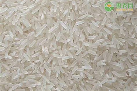 籼米和粳米有什么区别？籼米和粳米的区别 —【发财农业网】