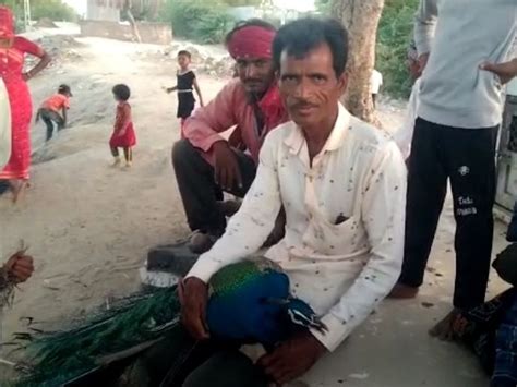 Two watchmen were posted by the forest department at Savlas, drinking ...