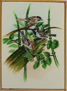 tribes india Watercolor 10.82 inch x 7.48 inch Painting Price in India ...