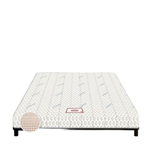 Coirfit BIOLIFE 7-Zone 100% Natural 10 Inch Single Size Latex Mattress ...