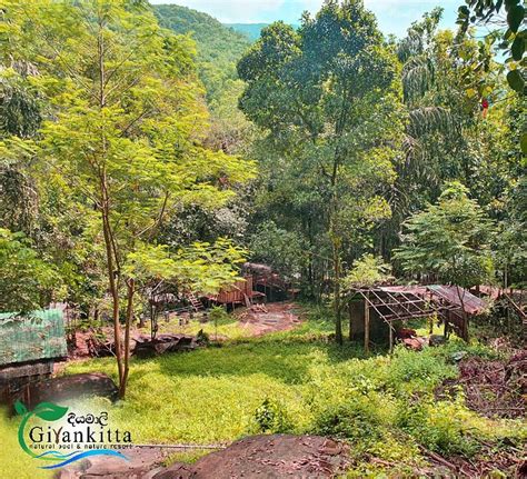 GIRANKITHTHA ECO RESORT (Kitulgala) - Hostel Reviews & Photos - Tripadvisor