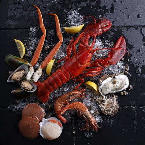 Crab And Lobster Jersey at Austin George blog