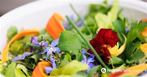 Съедобные цветы: список цветов, которые можно использовать на кухне ...