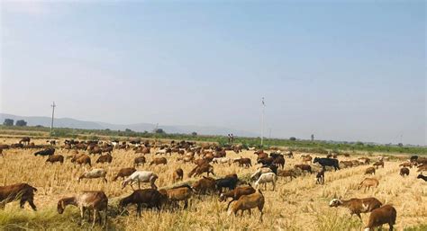 Not Just Chennai, India's Drought Situation Is Far Worse Than We Realise