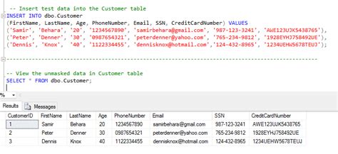 Image result for SQL Data Masking Script