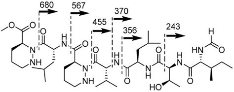 Depsidomycins B and C: New Cyclic Peptides from a Ginseng Farm Soil ...