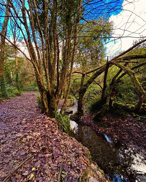 Walking Cornwall (@walk.cornwall) • Instagram photos and videos