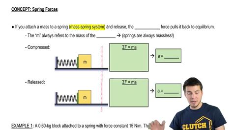 Spring Force Examples 的图像结果