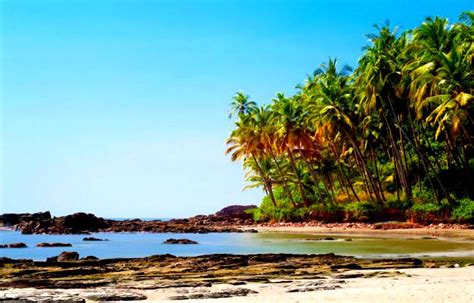 Goa’s Agonda beach is the best beach in India! Here’s why! | India.com