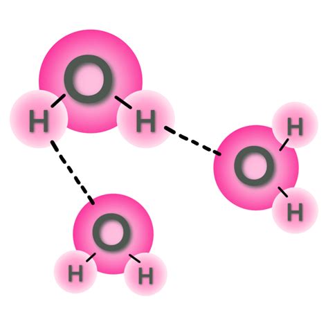 Biomolecules Water Structure at Henry Holland blog