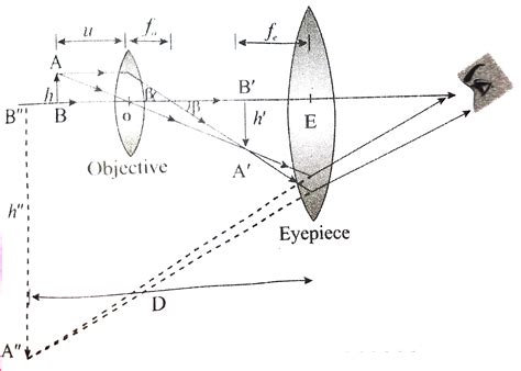 Image result for Angular Magnification of Microscope