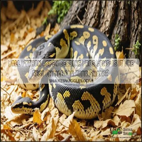 Feeding Baby Ball Python 的图像结果