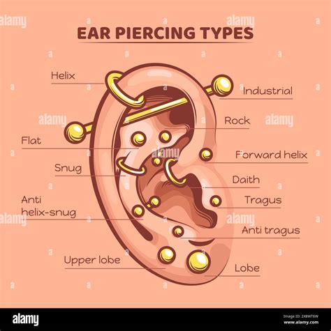 Ear piercing types. Pierced ears infographic chart, fashion beautiful ...