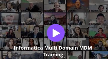 Image result for Multi-Domain MDM Informatica