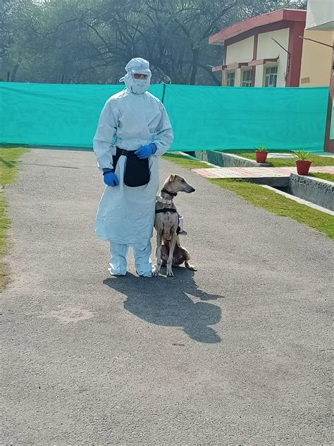Indian Army demonstrates capabilities of dogs to detect COVID-19