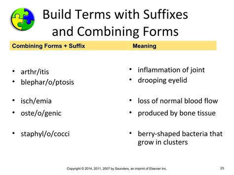 Medical Terminology Chapter 3 | PPT
