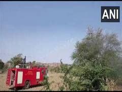 Swarms of locusts invade Ajmer, cause damage to crops