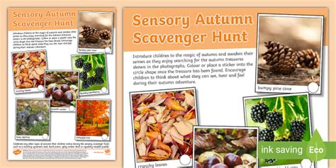 Sensory Autumn Scavenger Hunt | Twinkl