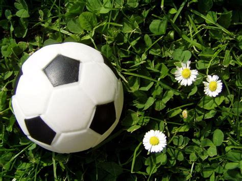 Contoh Soal Volume Bola dan Cara Menghitungnya