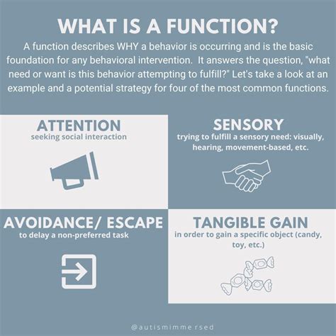 4 ABA Functions of Behavior Explained