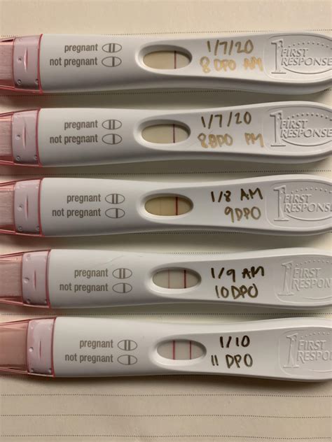 Pregnancy Test Dpo 11