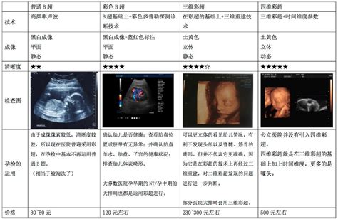 怀孕各阶段设计图__广告设计_广告设计_设计图库_昵图网nipic.com